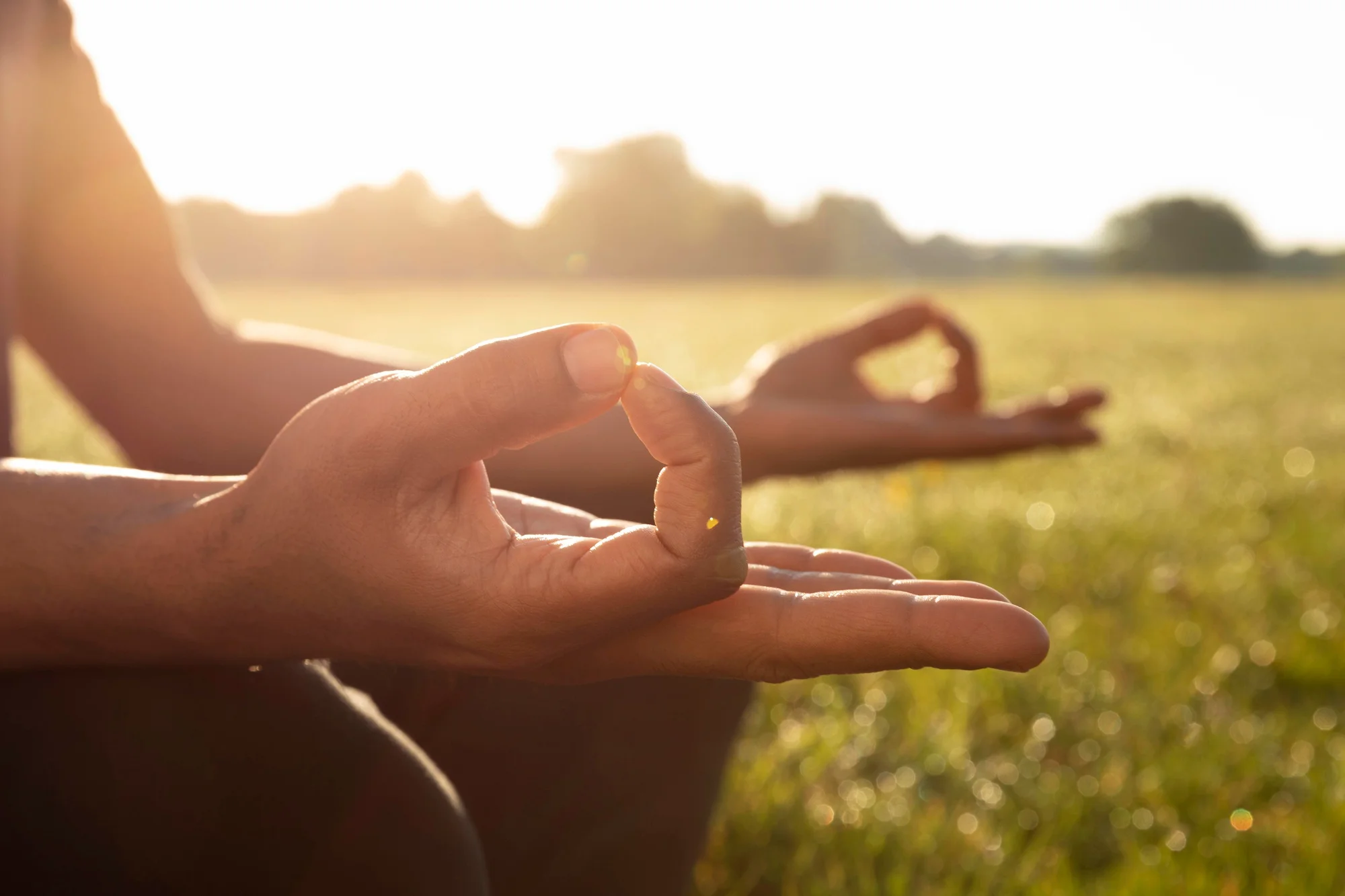 Mindfulness vs. Meditação: Qual é a Diferença?