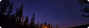 floresta a noite
